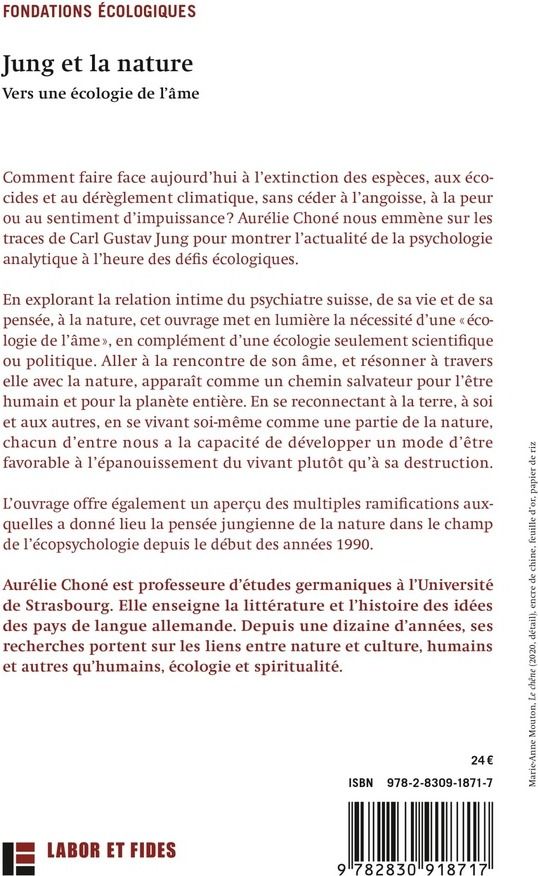 Quatrième de couverture de « Jung et la nature : vers une écologie de l'âme »