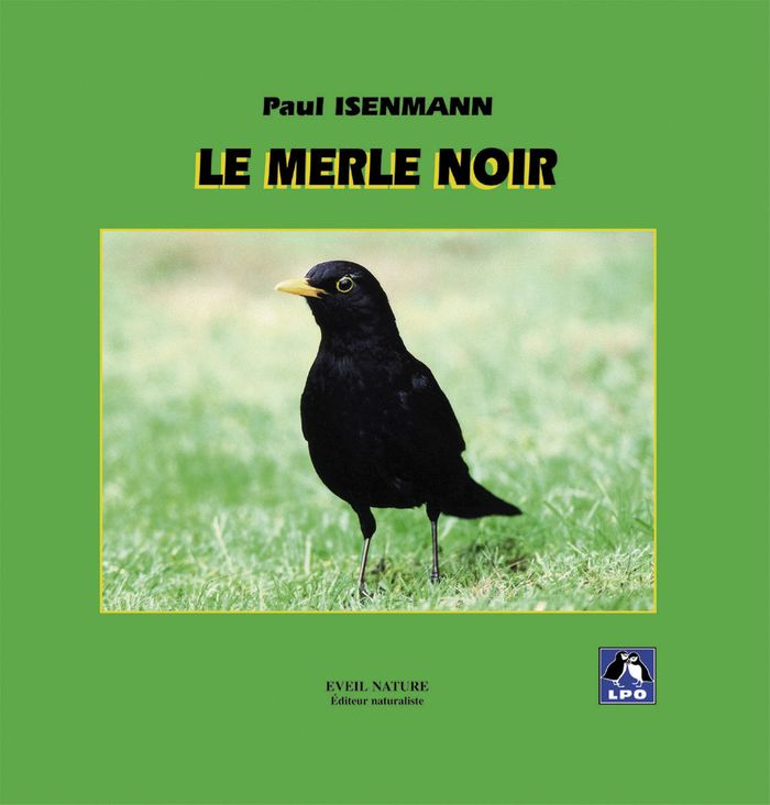 Couverture du livre « LE MERLE NOIR - COLLECTION APPROCHE (N 20) », librairie Les Contes Infusés à Corte