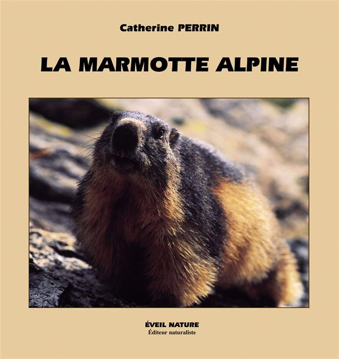 Couverture du livre « LA MARMOTTE ALPINE - COLLECTION APPROCHE (N 22) », librairie Les Contes Infusés à Corte