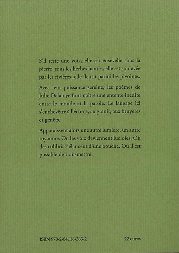 Quatrième de couverture de « S'il reste une voix »