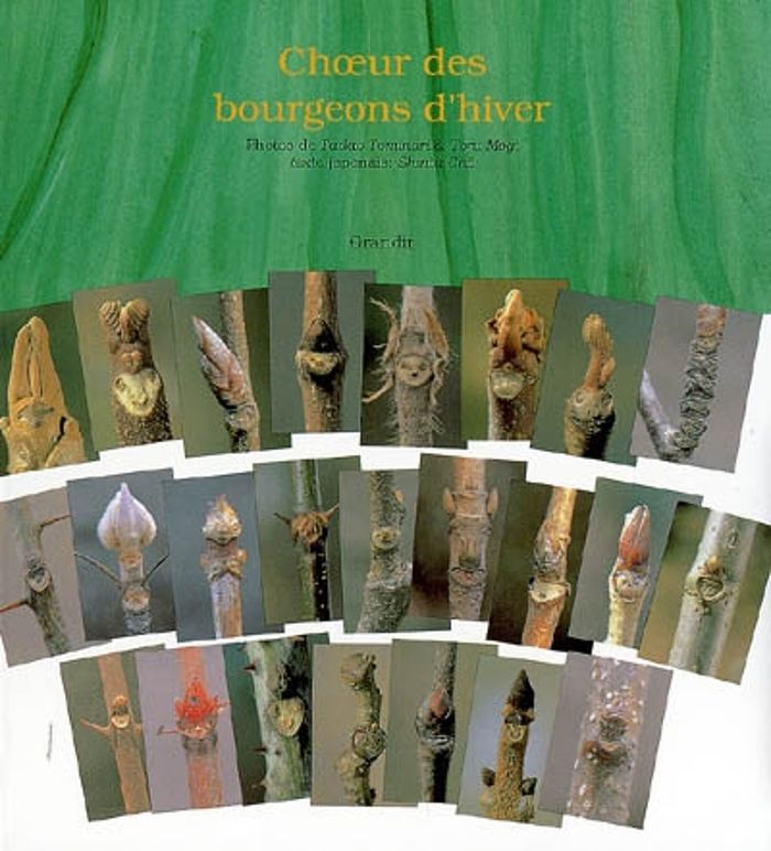Couverture du livre « CHOEUR DES BOURGEONS D'HIVER », librairie Les Contes Infusés à Corte