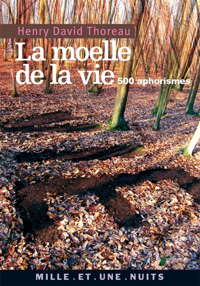 Couverture du livre « La moelle de la vie : 500 aphorismes » de Henry David Thoreau, librairie Les Contes Infusés à Corte
