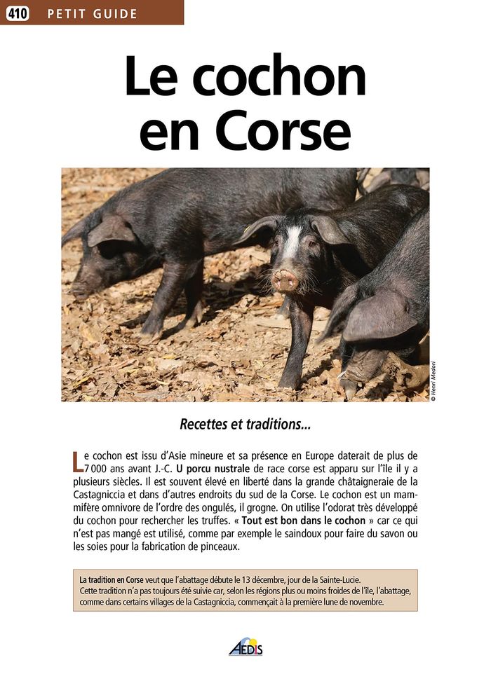 Couverture du livre « LE COCHON EN CORSE » de Collectif, librairie Les Contes Infusés à Corte