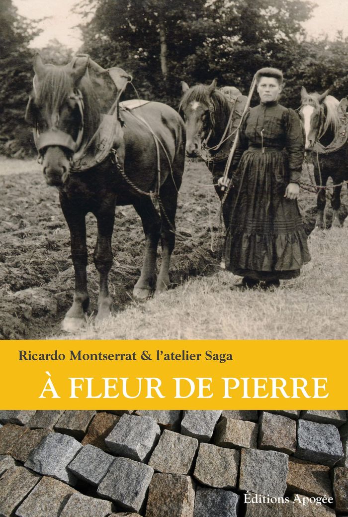 Couverture du livre « A FLEUR DE PIERRE » de Ricardo Montserrat, librairie Les Contes Infusés à Corte
