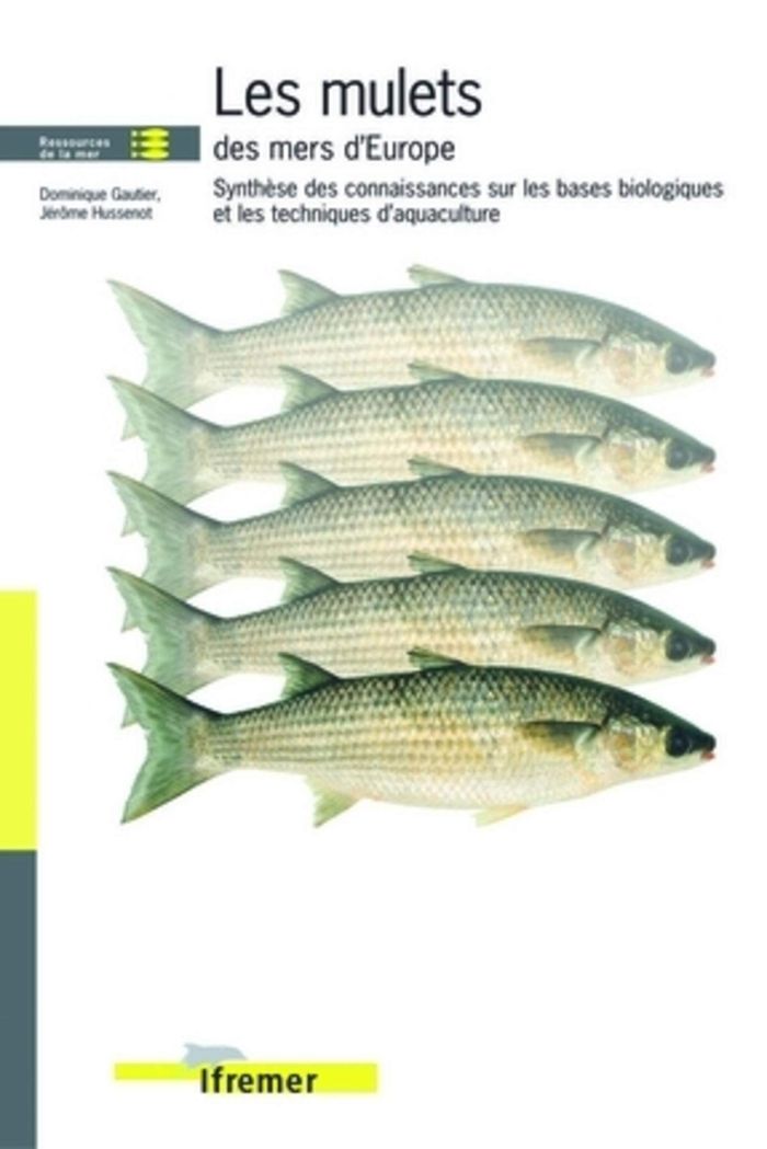 Couverture du livre « LES MULETS DES MERS D'EUROPE - SYNTHESE DES CONNAISSANCES SUR LES BASES BIOLOGIQUES ET LES TECHNIQUE » de Quae, librairie Les Contes Infusés à Corte