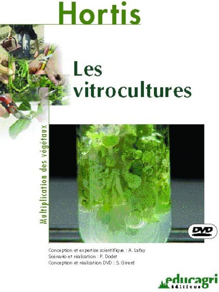 Couverture du livre « VITROCULTURES (LES) » de Lafay, librairie Les Contes Infusés à Corte