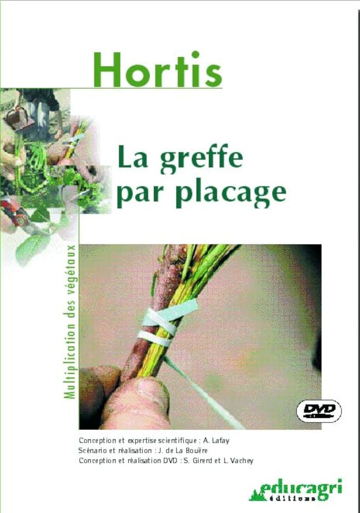 Couverture du livre « GREFFE PAR PLACAGE (LA) » de Lafay, librairie Les Contes Infusés à Corte