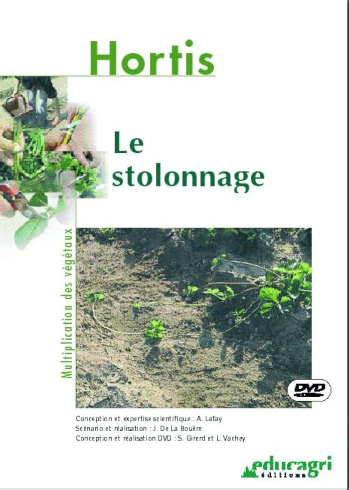 Couverture du livre « STOLONNAGE (LE) » de Lafay, librairie Les Contes Infusés à Corte