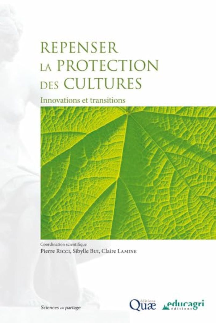 Couverture du livre « REPENSER LA PROTECTION DES CULTURES : INNOVATIONS ET TRANSITIONS » de Bui, librairie Les Contes Infusés à Corte