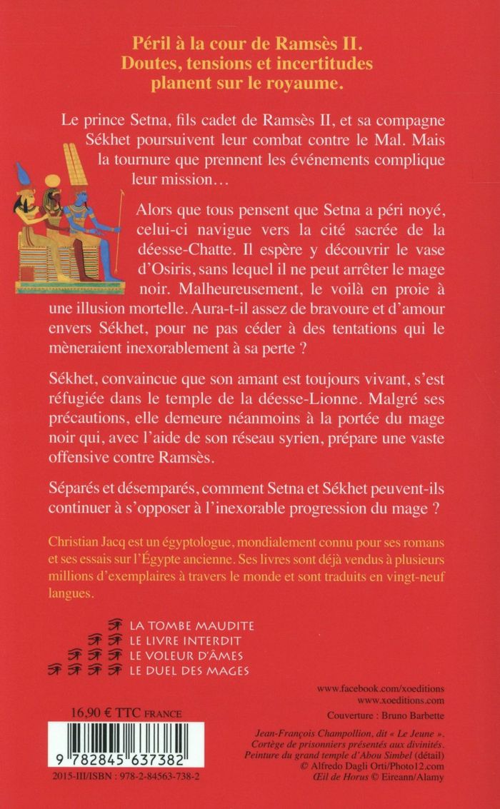 Quatrième de couverture de « Le voleur d'âmes : roman »