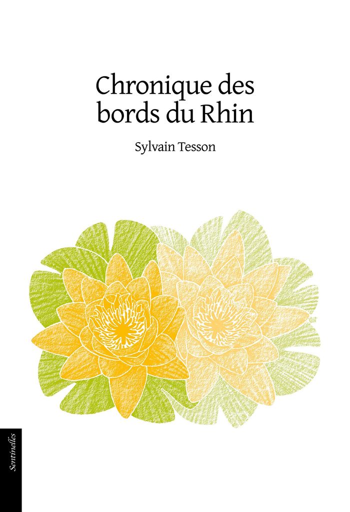 Couverture du livre « Chronique des bords du Rhin » de Sylvain Tesson, librairie Les Contes Infusés à Corte