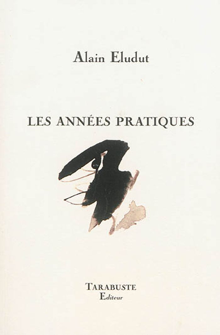 Couverture du livre « LES ANNEES PRATIQUES - ALAIN ELUDUT » de Alain Eludut, librairie Les Contes Infusés à Corte