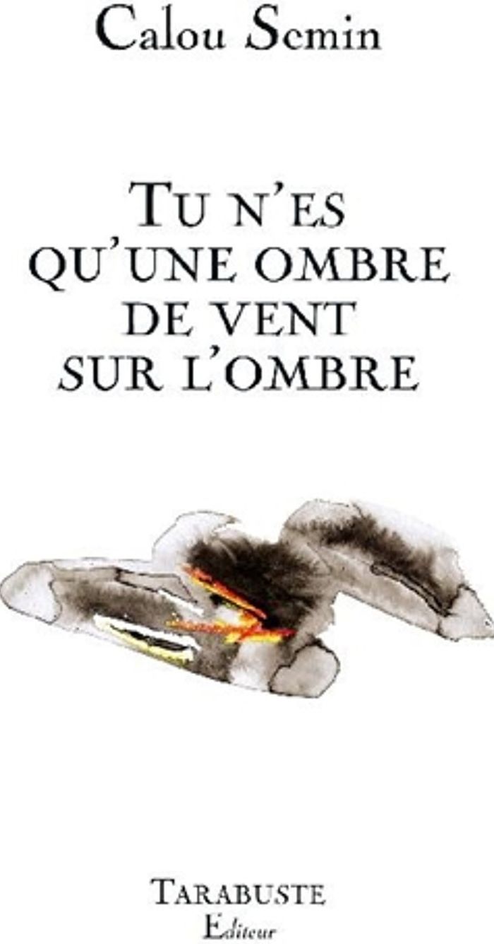 Couverture du livre « TU N'ES QU'UNE OMBRE DE VENT SUR L'OMBRE - CALOU SEMIN » de Calou Semin, librairie Les Contes Infusés à Corte