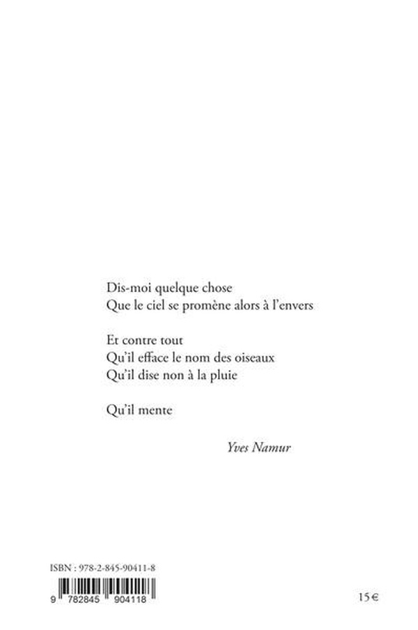 Quatrième de couverture de « Les plis du mensonge »