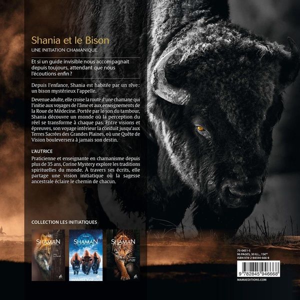 Quatrième de couverture de « Shania et le bison : une initiation chamanique »