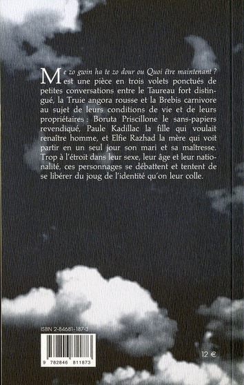 Quatrième de couverture de « ME ZO GWIN HA TE ZO DOUR OU QUOI ETRE MAINTENANT ? »