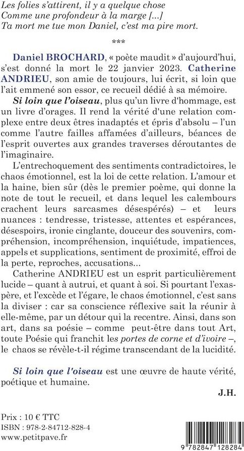 Quatrième de couverture de « Si loin que l'oiseau »