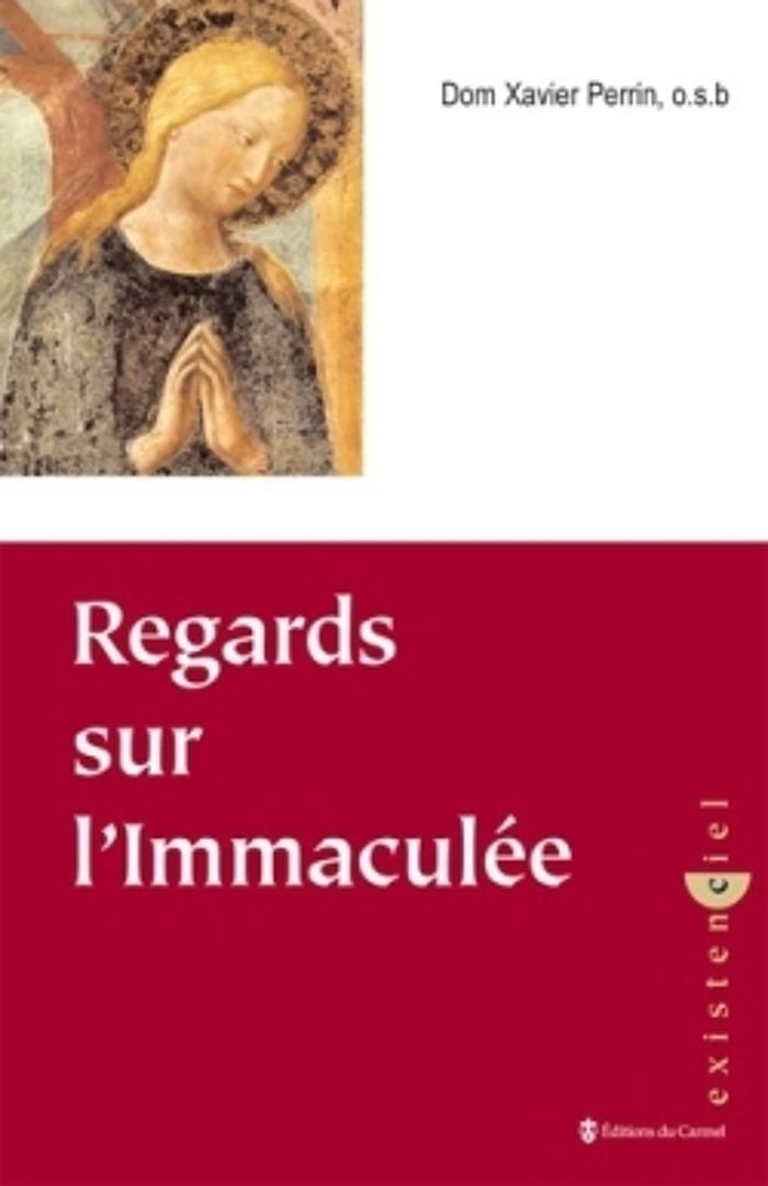 Couverture du livre « REGARDS SUR L'IMMACULEE » de Xavier Perrin, librairie Les Contes Infusés à Corte