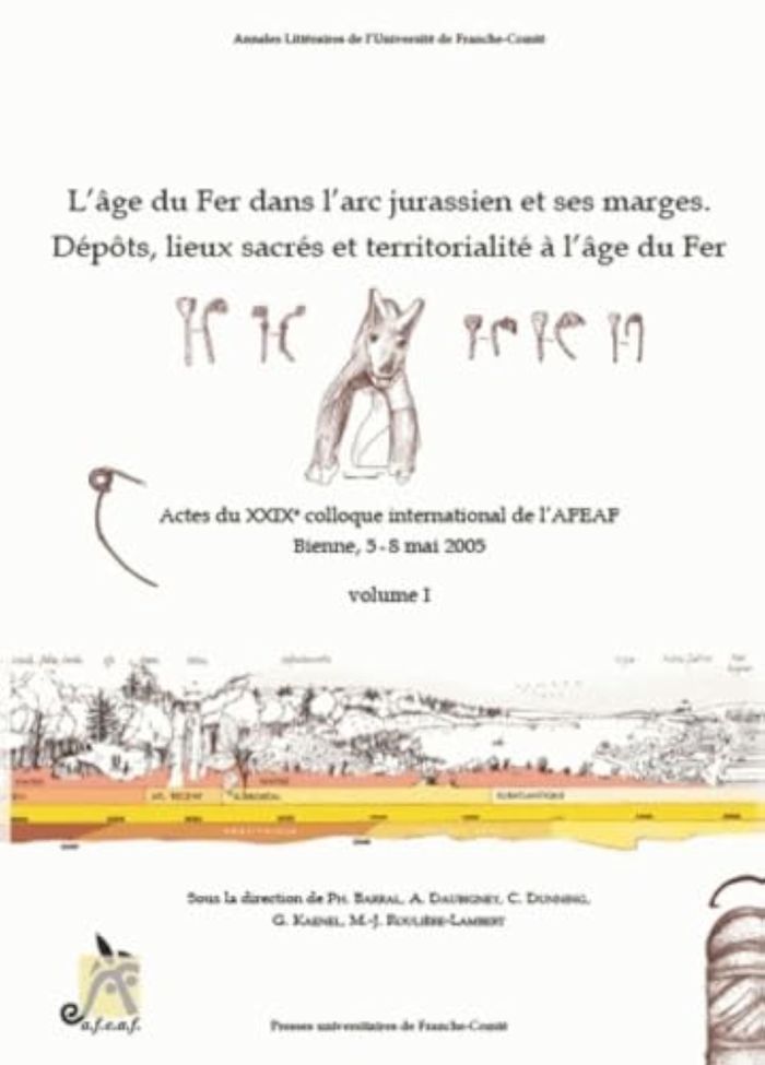 Couverture du livre « AGE DU FER DANS L'ARC JURASSIEN ET SES MARGES - DEPOTS, LIEUX SACRES ET TERRITORIALITE A L'AGE DU FE » de Alain Daubigney, librairie Les Contes Infusés à Corte