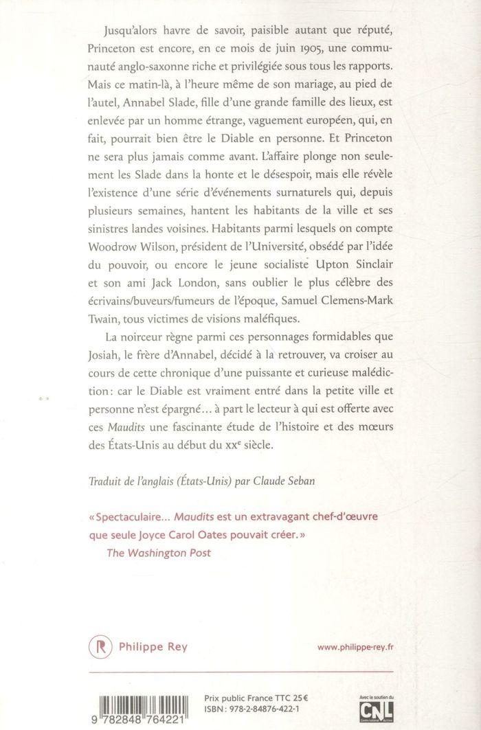 Quatrième de couverture de « Maudits : roman »