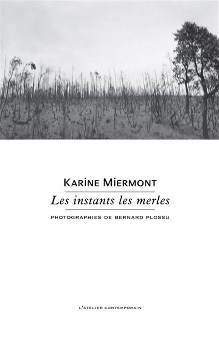 Couverture du livre « Les instants les merles », librairie Les Contes Infusés à Corte