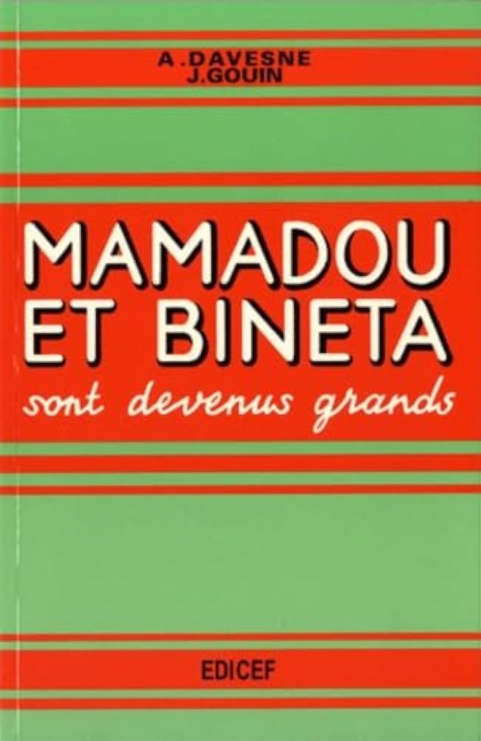 Couverture du livre « MAMADOU ET BINETA SONT DEVENUS GRANDS CM1-CM2 », librairie Les Contes Infusés à Corte