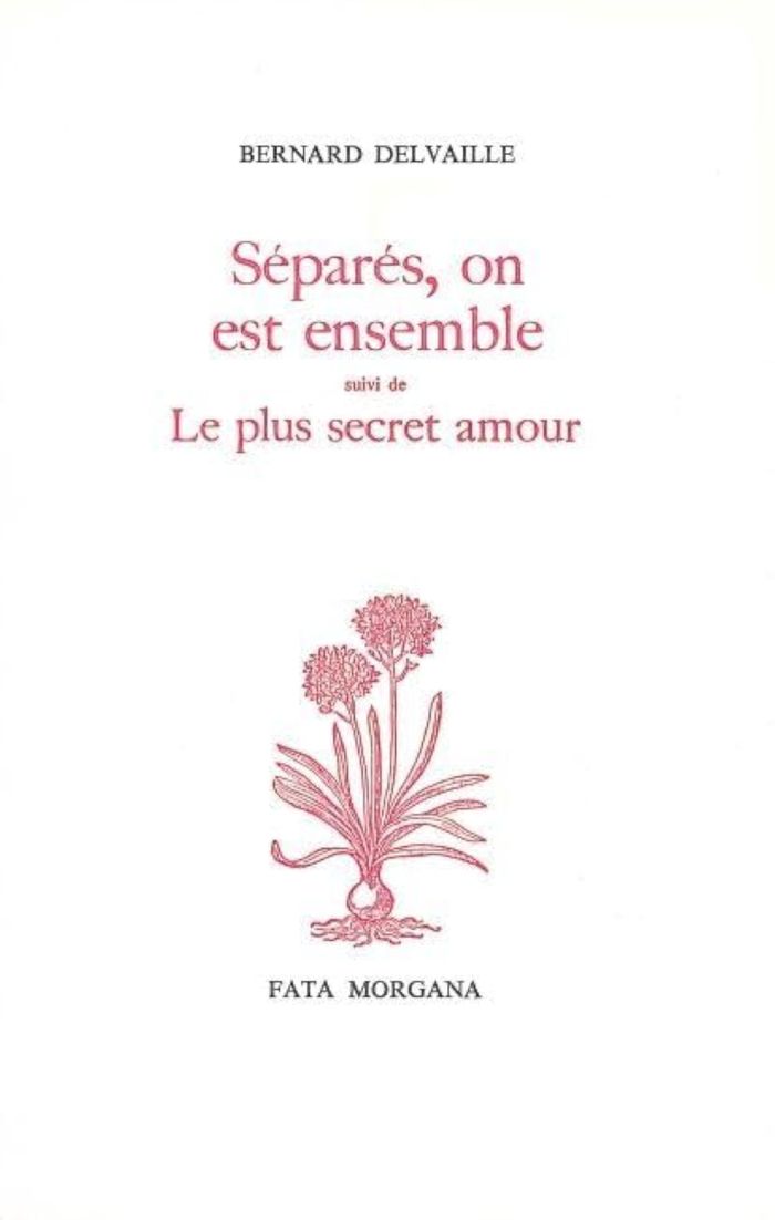 Couverture du livre « SEPARES ON EST ENSEMBLE - SUIVI DE LE PLUS SECRET AMOUR » de Bernard Delvaille, librairie Les Contes Infusés à Corte