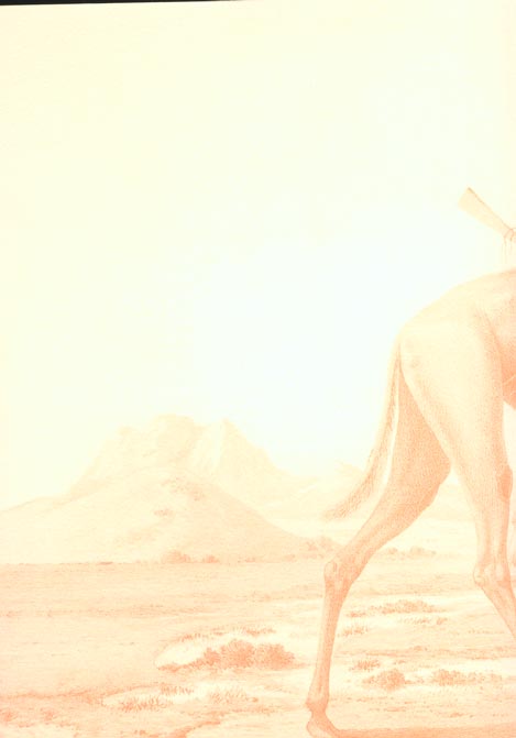 Quatrième de couverture de « VOYAGE AUX MINES D OR DU PHARAON »