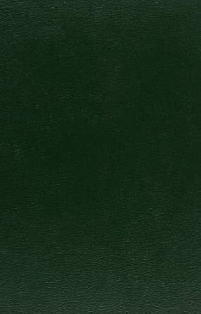 Couverture du livre « POLOGNE-FRANCE, LA VISION DE L'AUTRE - ACTES DU COLLOQUE... FRANCO-POLONAIS, MONTPELLIER, 22-24 JUIN », librairie Les Contes Infusés à Corte