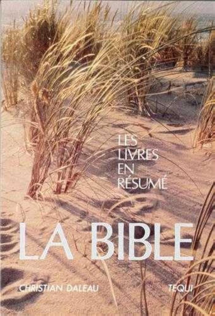 Couverture du livre « BIBLE LES LIVRES EN RESUME » de Christian Daleau, librairie Les Contes Infusés à Corte
