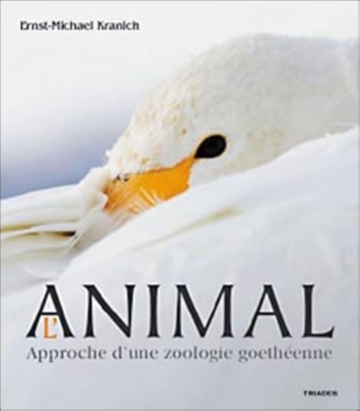 Couverture du livre « ANIMAL - APPROCHE D'UNE ZOOLOGIE GOETHEENNE » de Xxx, librairie Les Contes Infusés à Corte
