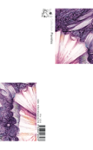 Quatrième de couverture de « UNE AME QUI JOUE - LE KALEIDOSCOPE »