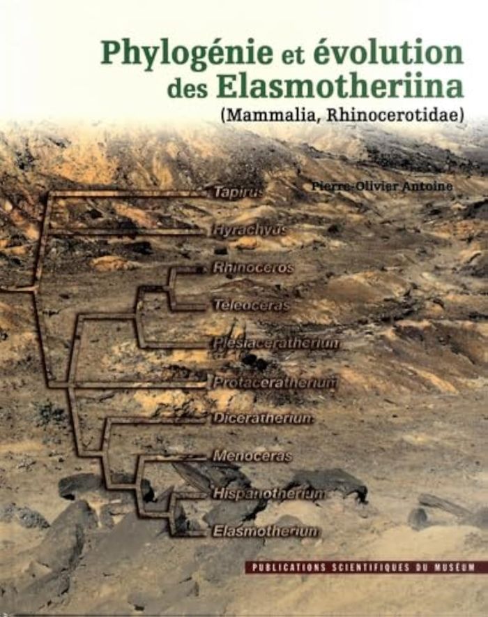 Couverture du livre « PHYLOGENIE ET EVOLUTION DES ELASMOTHERIINA (MAMMALIA, RHINOCEROTIDAE). », librairie Les Contes Infusés à Corte