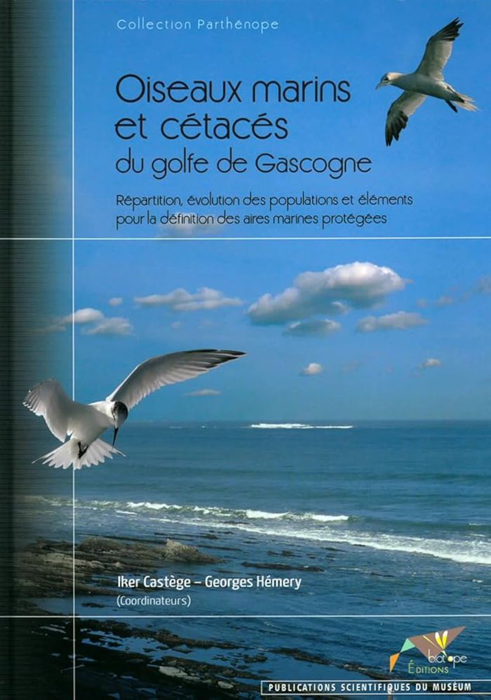 Couverture du livre « OISEAUX MARINS ET CETACES DU GOLFE DE GASCOGNE. REPARTITION, EVOLUTION DES POPULATIONS ET ELEMENTS P », librairie Les Contes Infusés à Corte