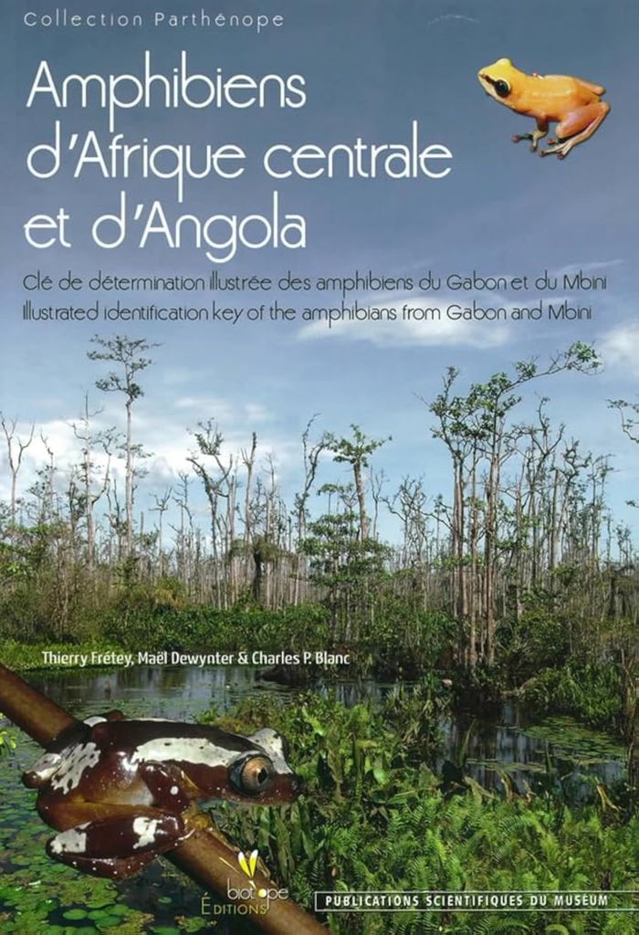 Couverture du livre « AMPHIBIENS D AFRIQUE CENTRALE ET D ANGOLA. CLE DE DETERMINATION ILLUSTREE DES AMPHIBIENS DU GABON ET », librairie Les Contes Infusés à Corte