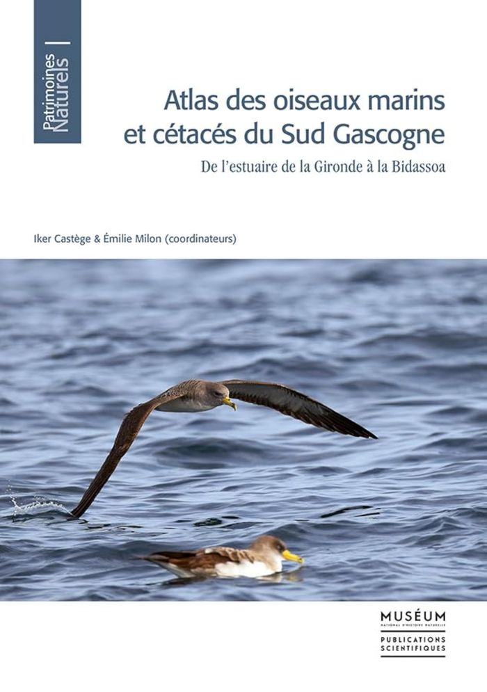 Couverture du livre « ATLAS DES OISEAUX MARINS ET CETACES DU SUD GASCOGNE : DE L'ESTUAIRE DE LA GIRONDE A LA BIDASSOA. » de I., Milon E Castege, librairie Les Contes Infusés à Corte