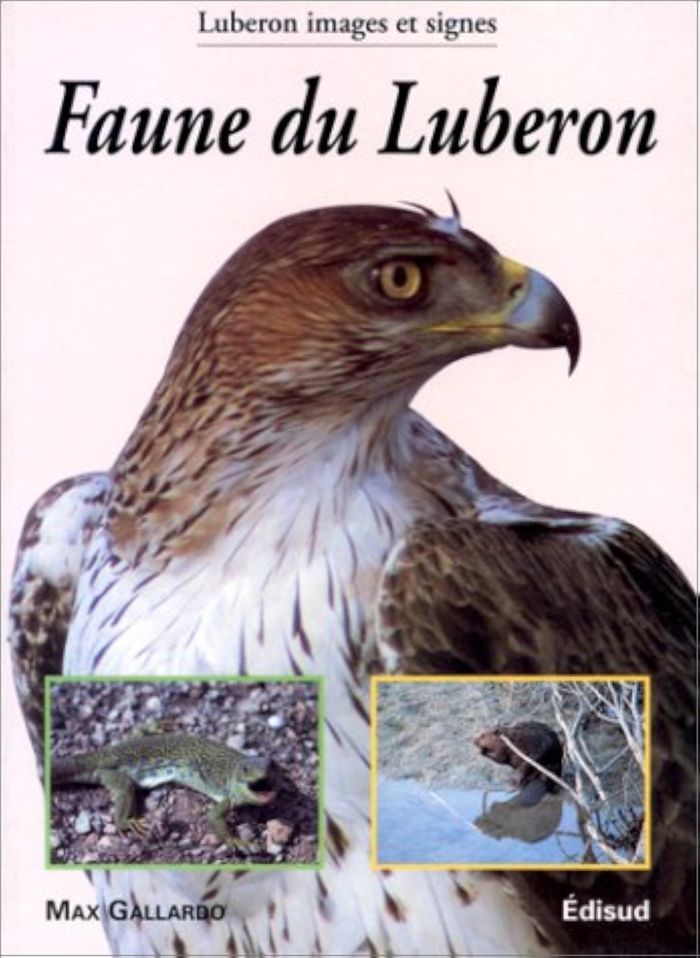 Couverture du livre « FAUNE DU LUBERON » de Max Gallardo, librairie Les Contes Infusés à Corte