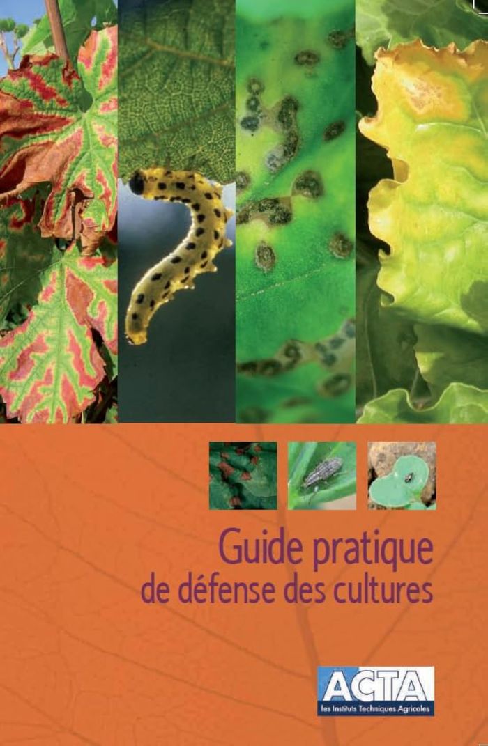 Couverture du livre « GUIDE PRATIQUE DE DEFENSE DES CULTURES- 6EME EDITION », librairie Les Contes Infusés à Corte