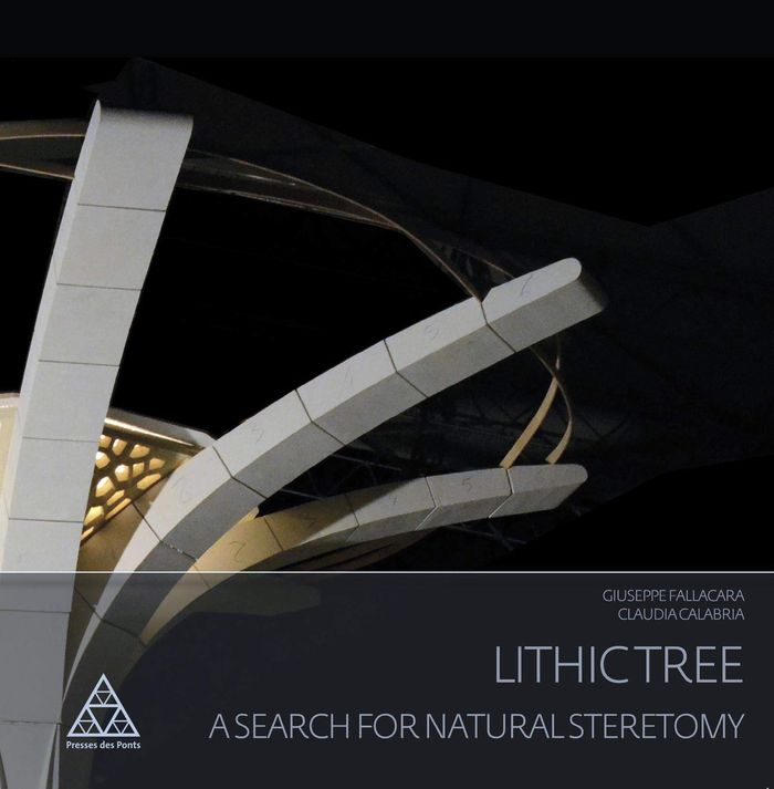 Couverture du livre « LITHIC TREE - A SEARCH FOR NATURAL STEREOTOMY. », librairie Les Contes Infusés à Corte