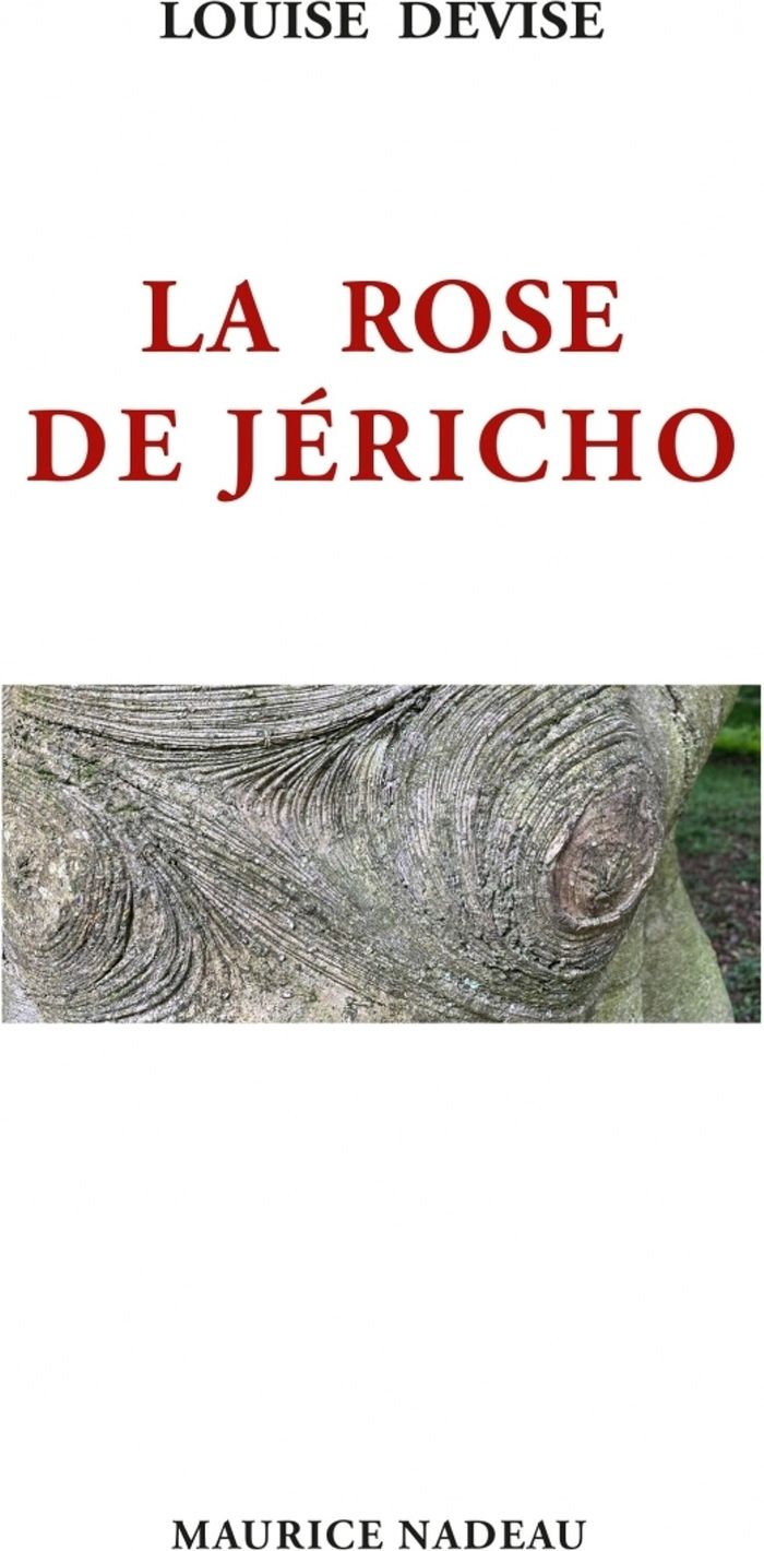 Couverture du livre « La rose de Jéricho : roman » de Louise Devise, librairie Les Contes Infusés à Corte