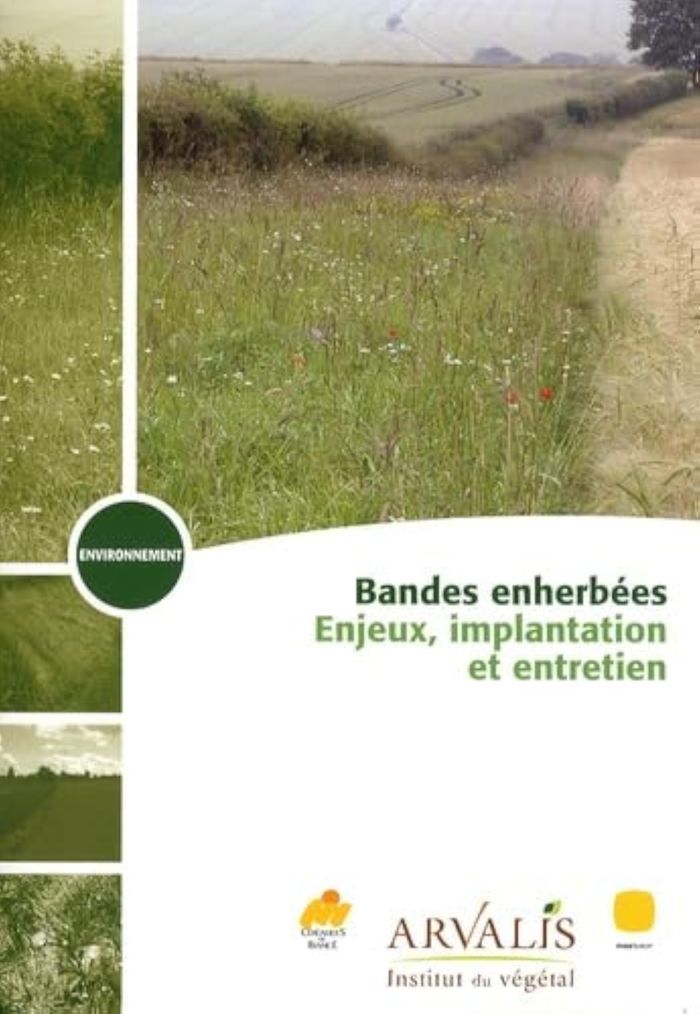 Couverture du livre « BANDES ENHERBEES : ENJEUX, IMPLANTATION ET ENTRETIEN » de Arvalis, librairie Les Contes Infusés à Corte