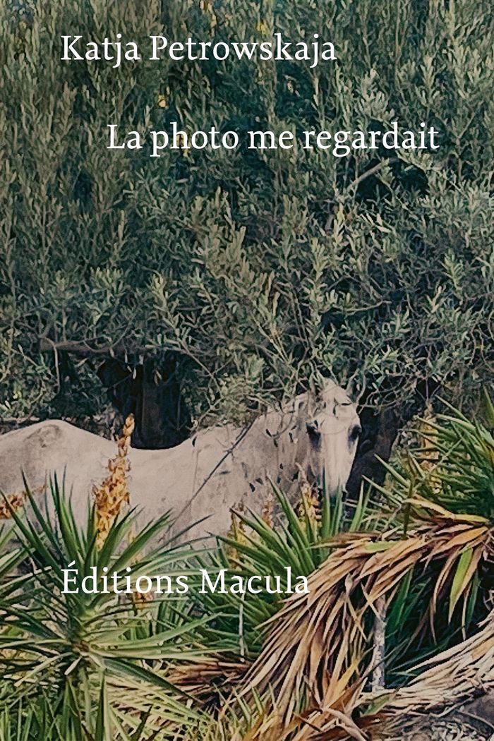 Couverture du livre « La photo me regardait : chroniques, 2015-2021 » de Katja Petrowskaja, librairie Les Contes Infusés à Corte
