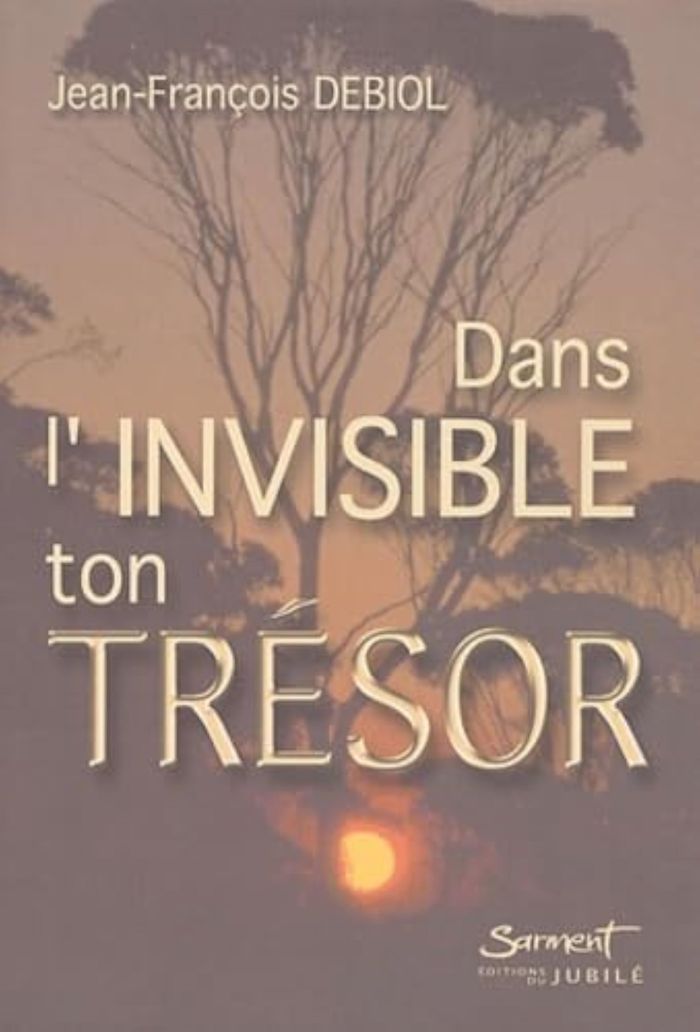 Couverture du livre « DANS L'INVISIBLE TON TRESOR » de Jean-Francois Debiol, librairie Les Contes Infusés à Corte