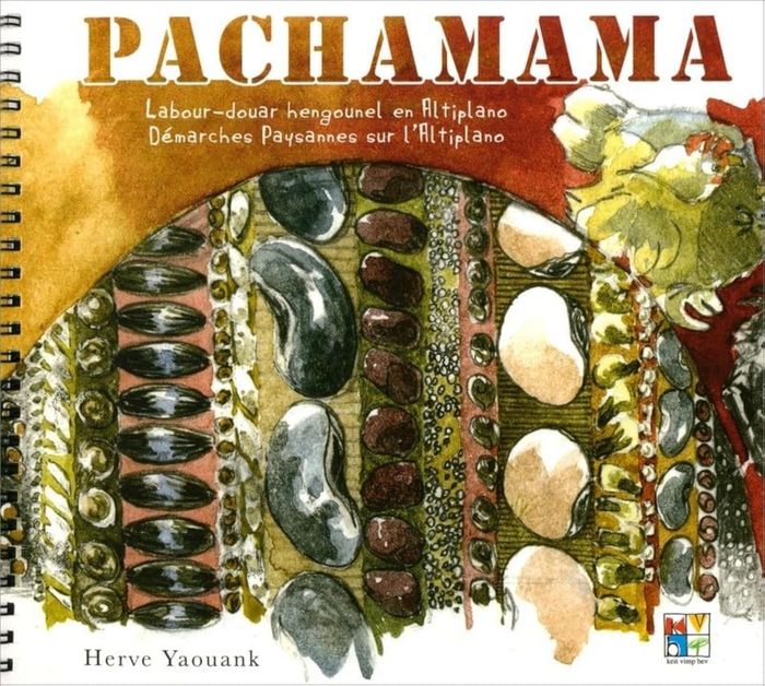 Couverture du livre « PACHAMAMA - DEMARCHES PAYSANNES SUR L'ALTIPLANO » de Herve Yaouank, librairie Les Contes Infusés à Corte