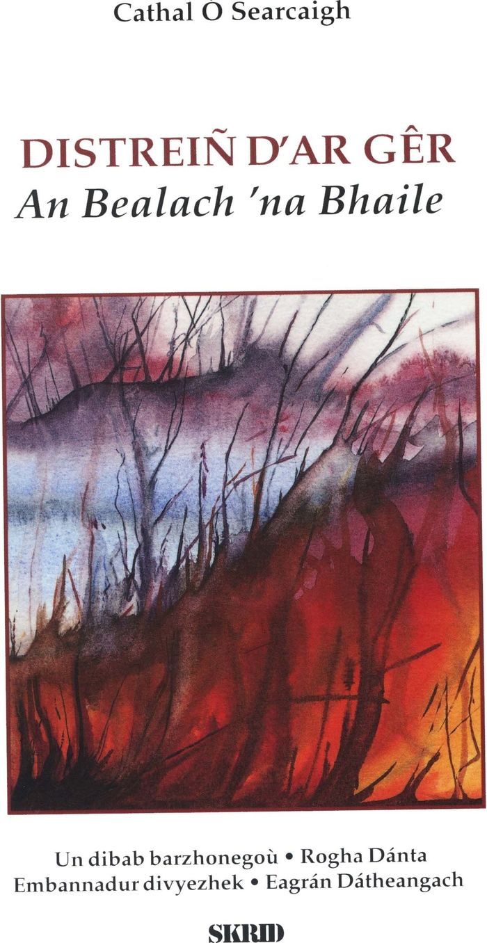 Couverture du livre « DISTREIN D'AR GER » de O Searcaigh Cathal, librairie Les Contes Infusés à Corte