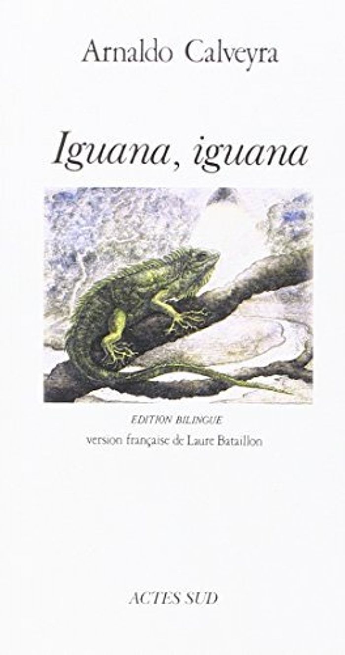 Couverture du livre « IGUANA, IGUANA », librairie Les Contes Infusés à Corte