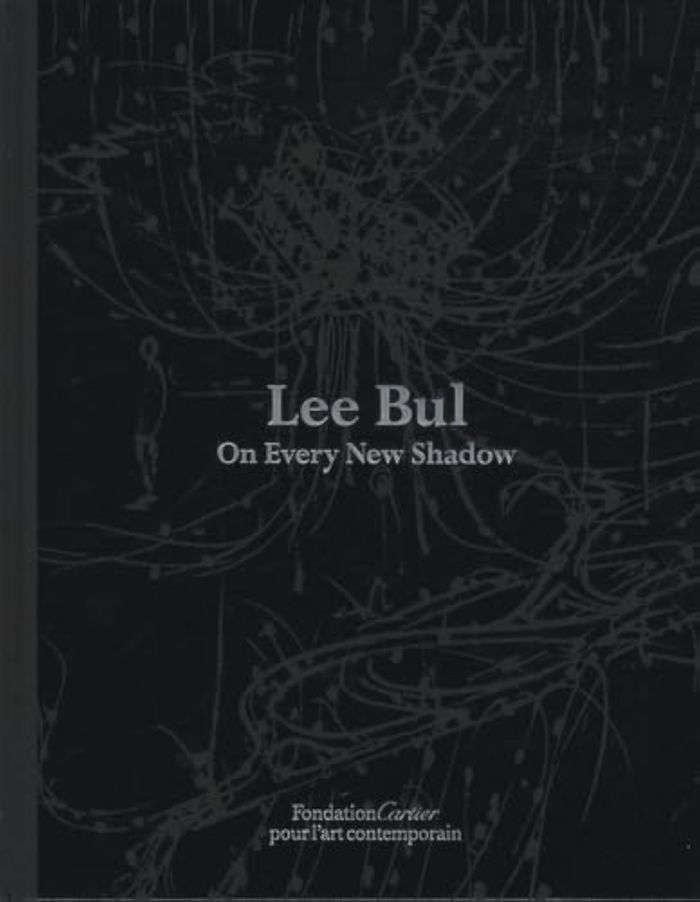 Couverture du livre « ON EVERY NEW SHADOW (BILINGUE FRANCAIS - ANGLAIS) », librairie Les Contes Infusés à Corte
