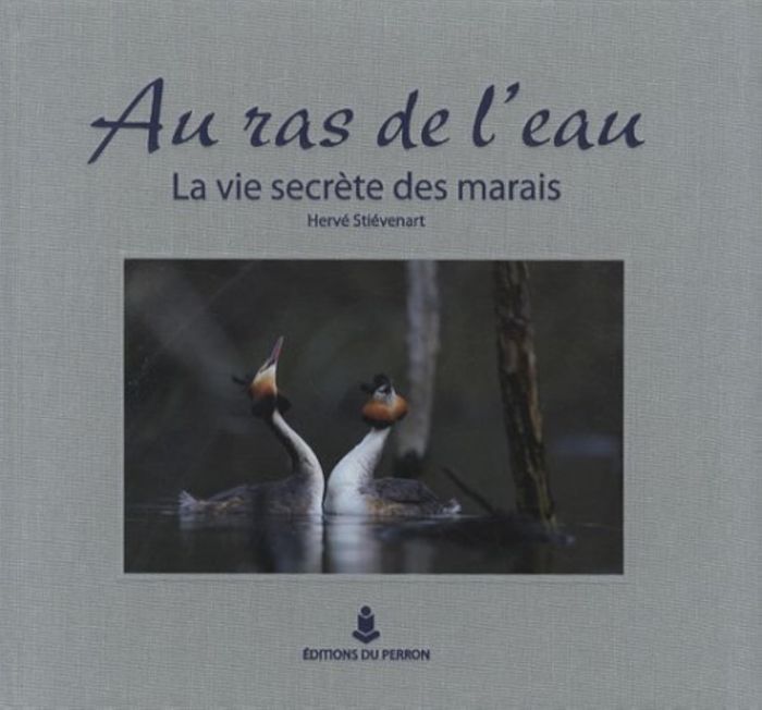 Couverture du livre « AU RAS DE L'EAU. LA VIE SECRETE DES MARAIS » de Herve Stievenart, librairie Les Contes Infusés à Corte