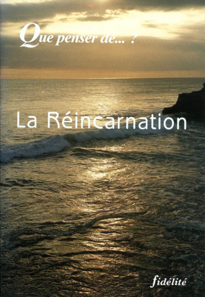 Couverture du livre « LA REINCARNATION » de Jacques Scheuer, librairie Les Contes Infusés à Corte