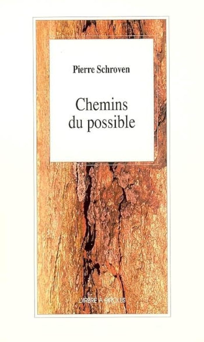 Couverture du livre « CHEMINS DU POSSIBLE » de Pierre Schroven, librairie Les Contes Infusés à Corte